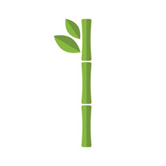 Bamboo vector flat illustration
