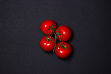 Tomatoes on a black background. Tomatoes on a vine on a dark background. Ripe fresh vegetables.