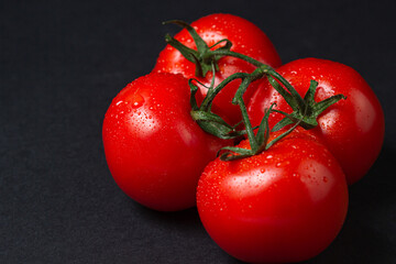 Tomatoes on a black background. Tomatoes on a vine on a dark background. Ripe fresh vegetables.