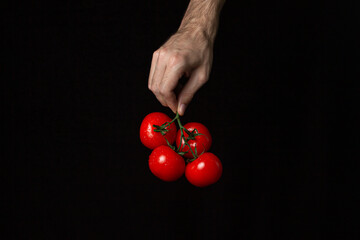 Tomatoes on a black background. Hand holds tomatoes on a dark background. Ripe fresh vegetables.