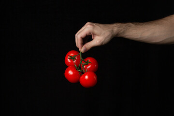 Tomatoes on a black background. Hand holds tomatoes on a dark background. Ripe fresh vegetables.
