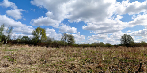 Spring walk through the forest, beautiful panorama.