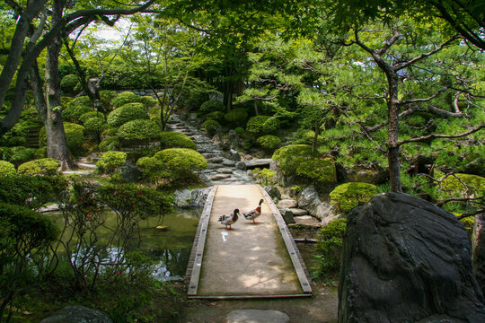 717 Best 池泉回遊式庭園 Images Stock Photos Vectors Adobe Stock