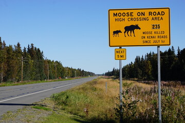 Moose on road yellow warning road sign