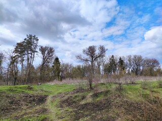 Obraz premium Landscape in the park in spring in sunny weather