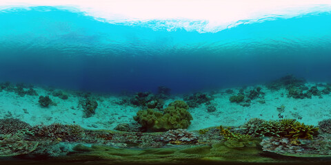 The underwater world of coral reef with fishes at diving. Coral garden under water. Coral Reef Fish...