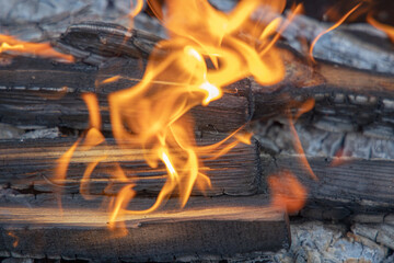 Burning fire, wood, coals for barbecue. Camping BBQ preparation