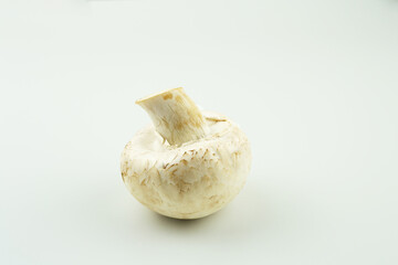 mushrooms mushrooms on a white isolated background close up