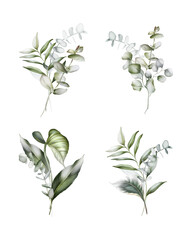 Set of bouquets of eucalyptus branches on a white background