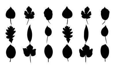 collection of leaf silhouettes vector illustrations