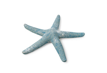 Green blue starfish on isolated white background
