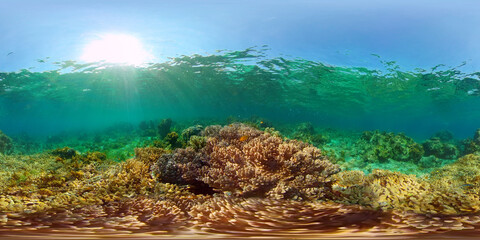 Naklejka na ściany i meble Coral reef underwater with fishes and marine life. Coral reef and tropical fish. Philippines. Virtual Reality 360.