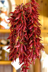 Naklejka premium a brunch of Calabrian hot pepper put to dry in the air used for the preparation of nduja salami