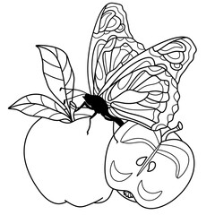 Coloring antistress page for adults 
and children. Apples and a butterfly.