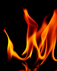 Fototapeta premium Fire flames