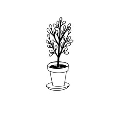 Houseplant isolated on white background. actus. Room flower in a pot. A hand-drawn element in the Doodle style.