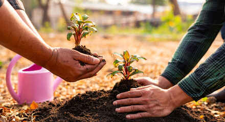 Earth's day celebration concept with happy man planting a new tree in the forest - no deforestation and respect for the world concept - gardening activity people, Reduce global warming problems.