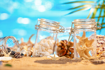 Collection of seashells and starfish in jars on the sandy seashore with copy space. Summer sunny background with tropical palm leaves.