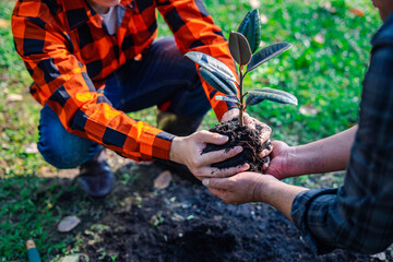 World environment day afforestation nature and ecology concept The hands of a young male volunteer...