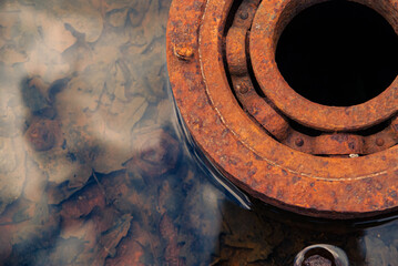 Autumn leaves under water in an old wheel, rusty wheel