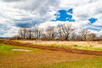 Spring rural lanscape, road, trees and sky