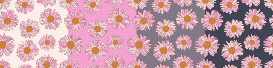 Set of seamless patterns of white and pink daisies with yellow center on various color fields: white, pink, old lavender, charcoal. Decorative print for wallpaper, wrapping, textile, fashion fabric.