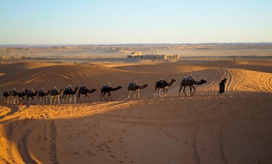 Fototapeta na wymiar sunrise in the desert with camel parade