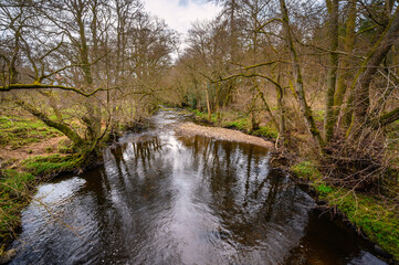 Fototapeta na wymiar Devils Water flows through dense woodland, a river in Northumberland and is a tributary of the River Tyne, the confluence is between Hexham and Corbridge