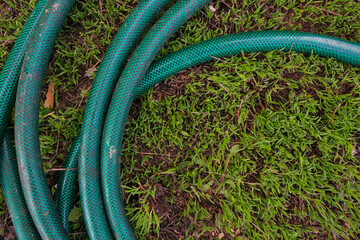 Reel of hose pipe and spraying head on grass.