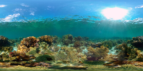 Fototapeta na wymiar Tropical coral reef seascape with fishes, hard and soft corals. Philippines. 360 panorama VR
