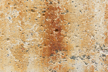 background is a concrete rusty surface. the textured cement wall is covered with rust.