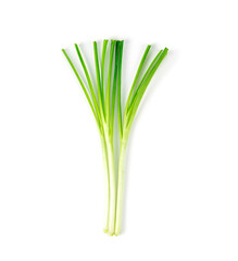 Fresh healthy organic green vegetable garlic chives, chinese chive sliced, green herb isolated on white background.