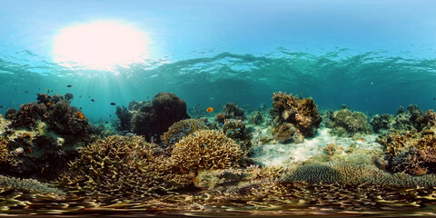 Tropical Fishes on Coral Reef, underwater scene. Philippines. 360 panorama VR
