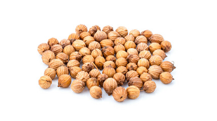 coriander seed isolated on white background