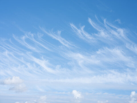 Des nuages blanc au printemps &eacute;tir&eacute;s sur fond de ciel bleu