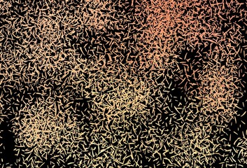 Dark Orange vector background with straight lines.