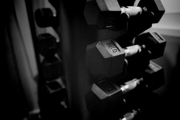 Set of metal dumbbells, arranged and displayed on a shelf