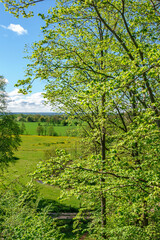 Obraz premium Lush foliage trees with a view of the countryside in summer