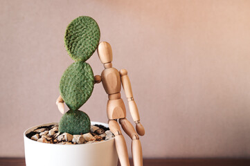 Cactus con muñeco de madera. Maniquí y cactus. Muñeco articulado. Plantas. Gente.