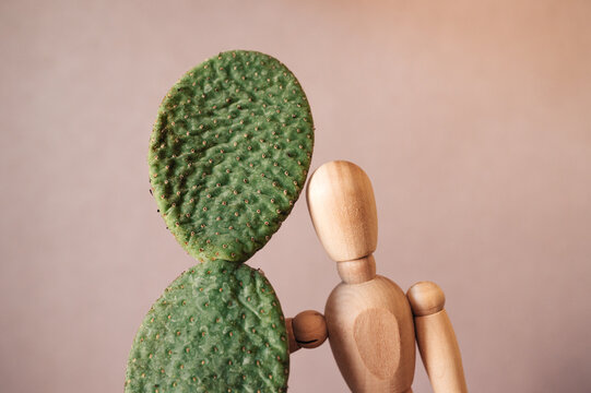 Cactus con mu&ntilde;eco de madera. Maniqu&iacute; y cactus. Mu&ntilde;eco articulado. Plantas. Gente.