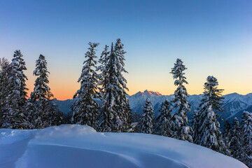 Snow covered pine forest against Caucasus mountains at sunset. "Fir refuge" (Pichtovy priyut) in Krasnaya Polyana. Sochi, Russia.