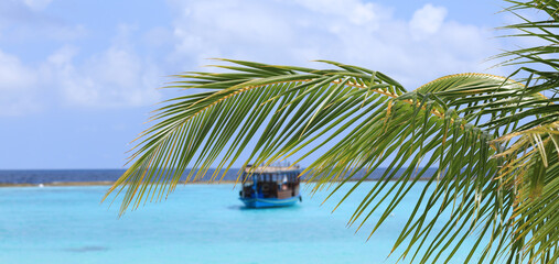 wooden boat and palm trees on a tropical island in the Indian Ocean