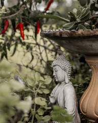 statue in garden bird feeder