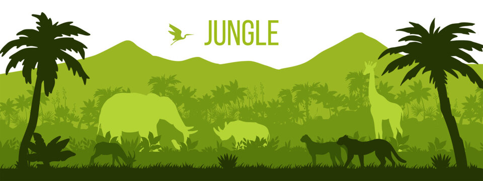 Jungle vector forest silhouette background, tropical rainforest landscape, tree outlines, leopard, rhino. Africa wildlife nature illustration, elephant, giraffe, palms. Jungle green silhouette clipart