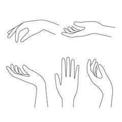 Different outline hands elegant gestures.