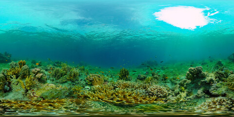 Fototapeta na wymiar Coral reef and tropical fishes. Coral Reef and Fishes Underwater. The underwater world of the Philippines. 360 panorama VR