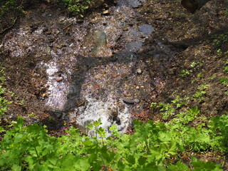 Obraz premium small waterfall in the forest in spring, top view