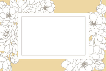 Flowers, florals, frames, simple, invitations..