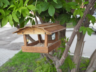 Homemade wooden bird feeder hanging on tree branches