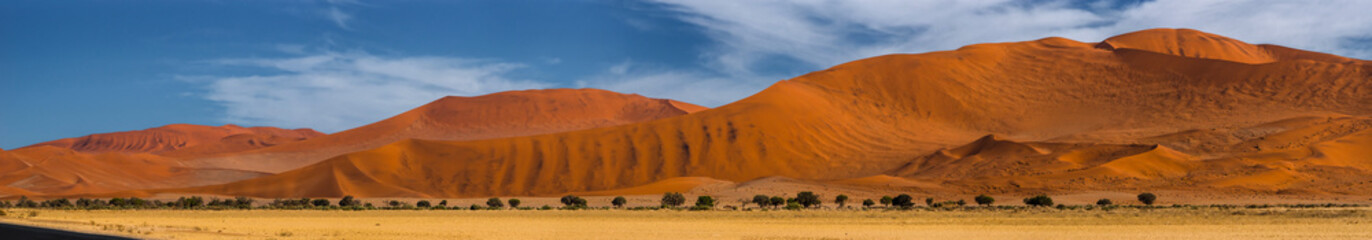 Fototapeta na wymiar Orange sand dunes against blue sky in late moring. Wide panorama of Sossusvlei, Namibia.